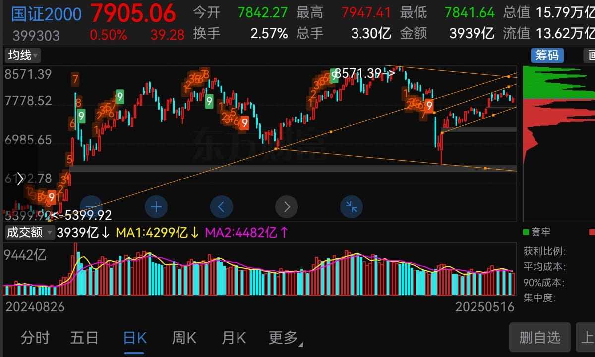 猫的时光 - 财经博主 画图留白