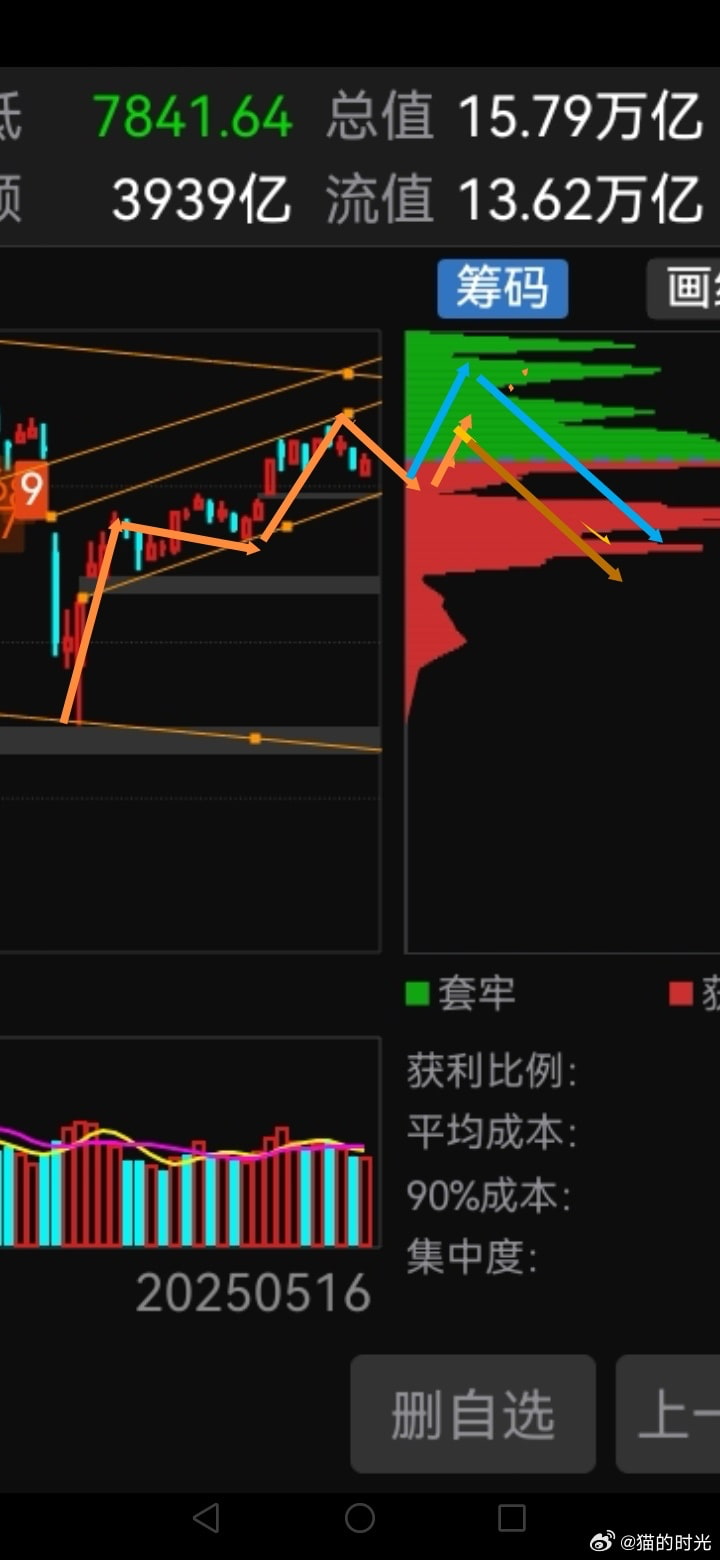猫的时光 - 财经博主 画图留白