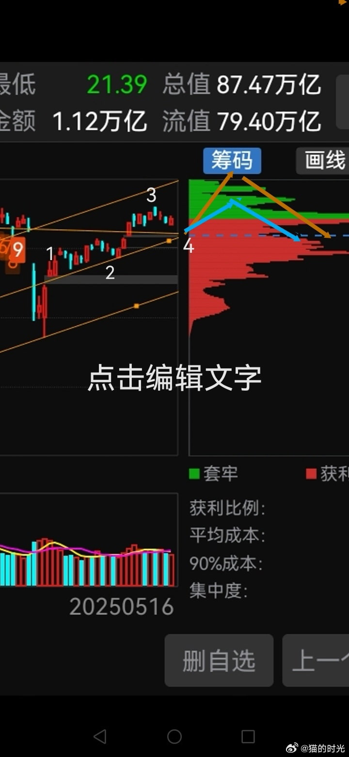 猫的时光 - 财经博主 画图留白