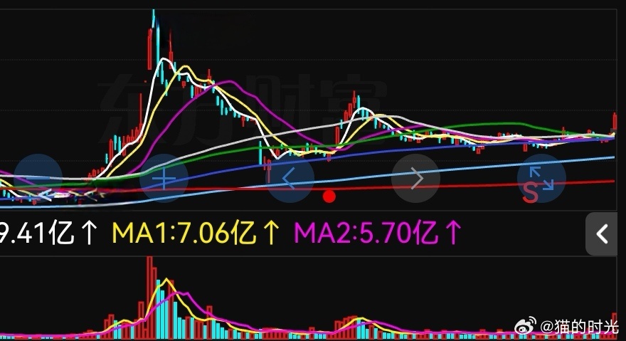 猫的时光 - 财经博主 画图留白