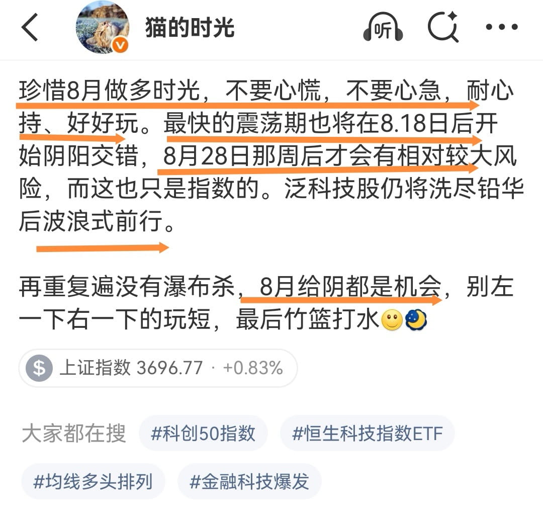 猫的时光 - 财经博主 画图留白