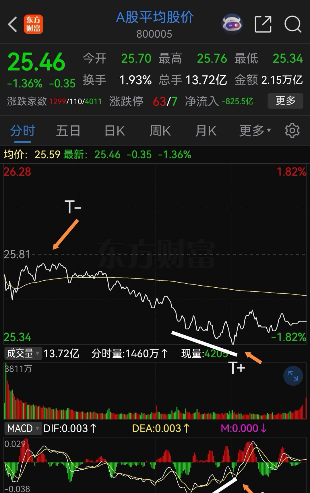 猫的时光 - 财经博主 画图留白
