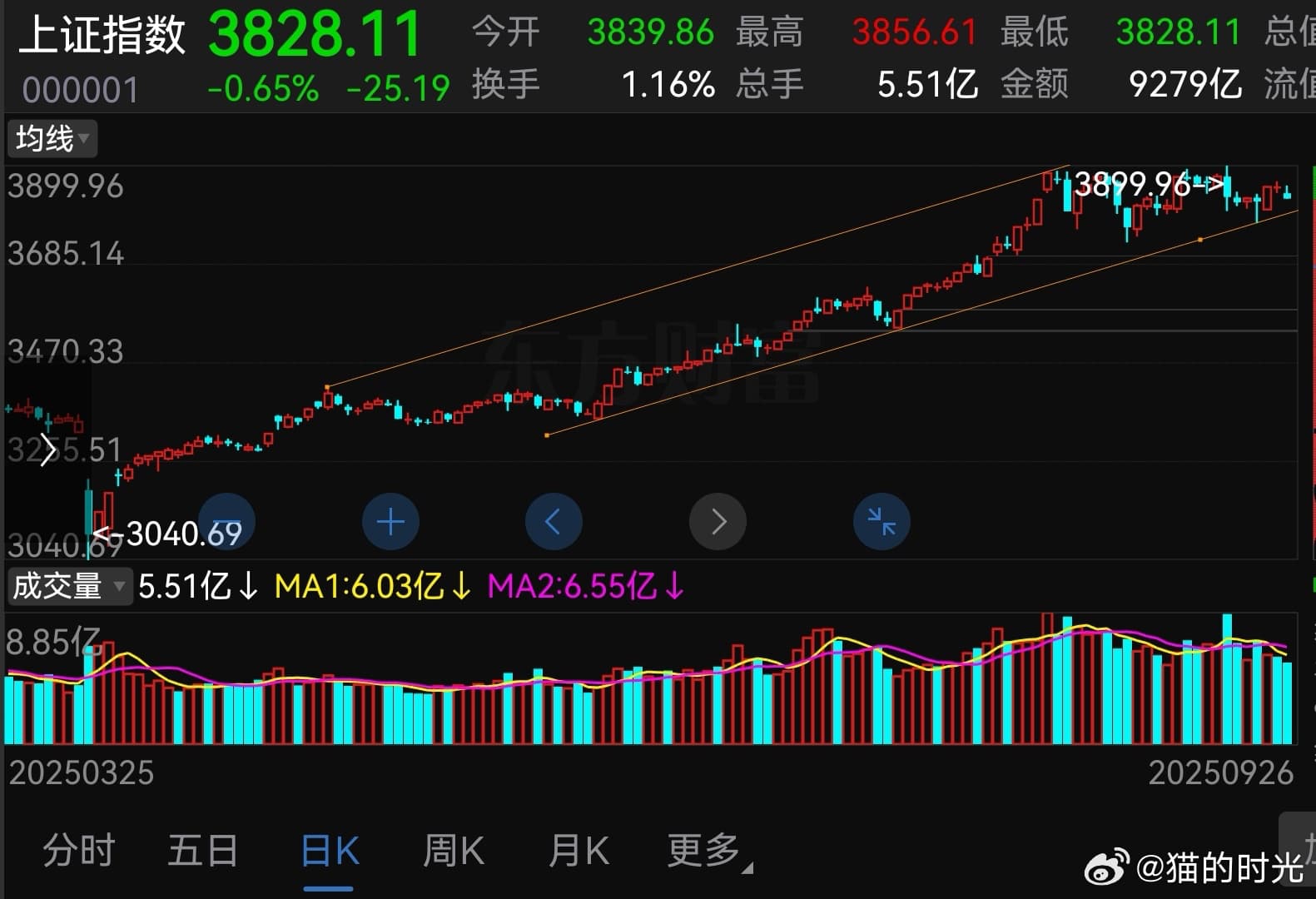 猫的时光 - 财经博主 画图留白