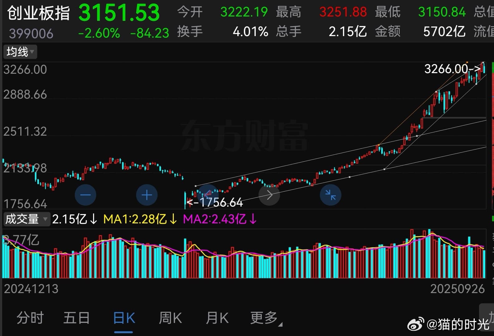 猫的时光 - 财经博主 画图留白