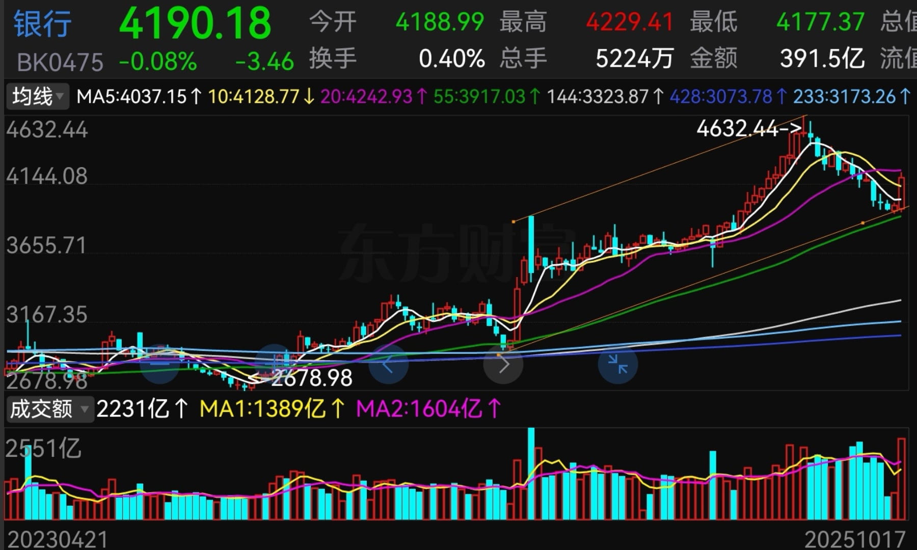 猫的时光 - 财经博主 画图留白