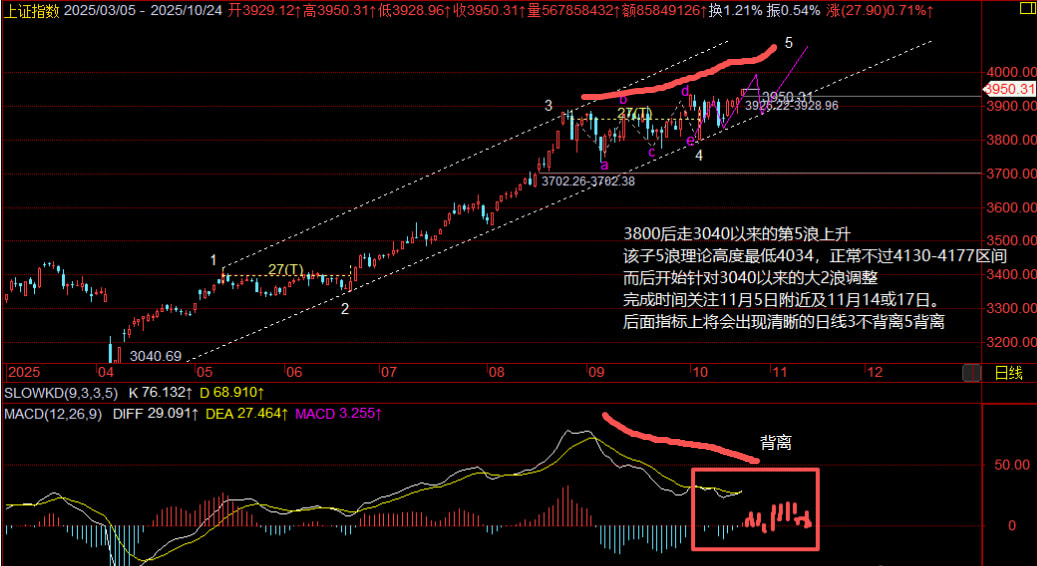 猫的时光 - 财经博主 画图留白