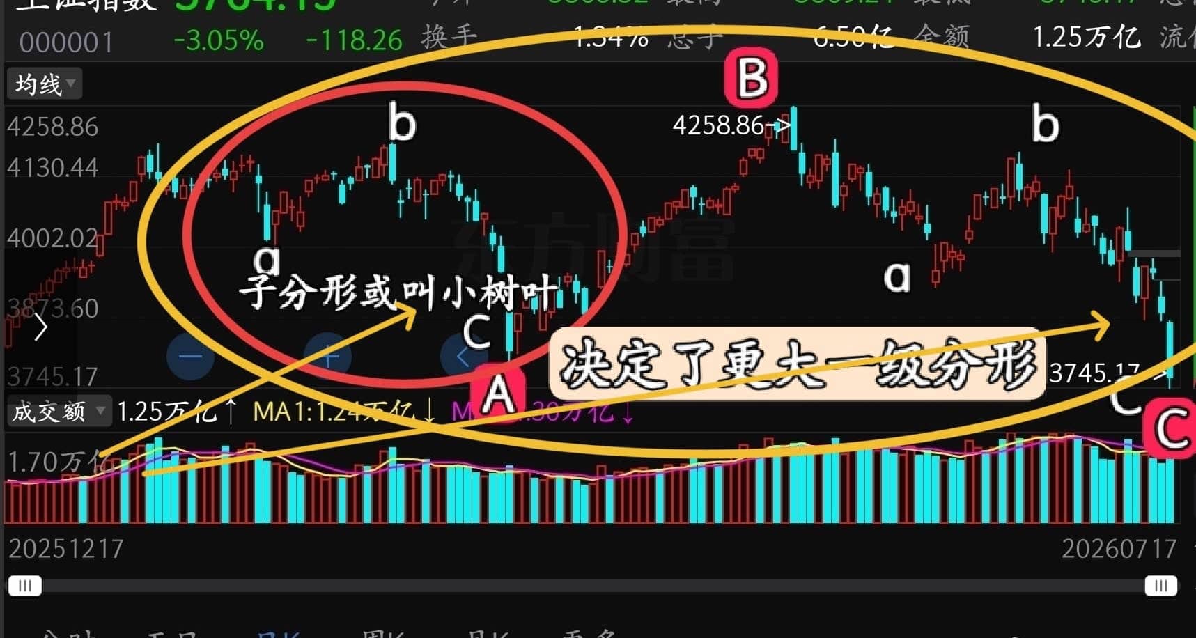 猫的时光 - 财经博主 画图留白